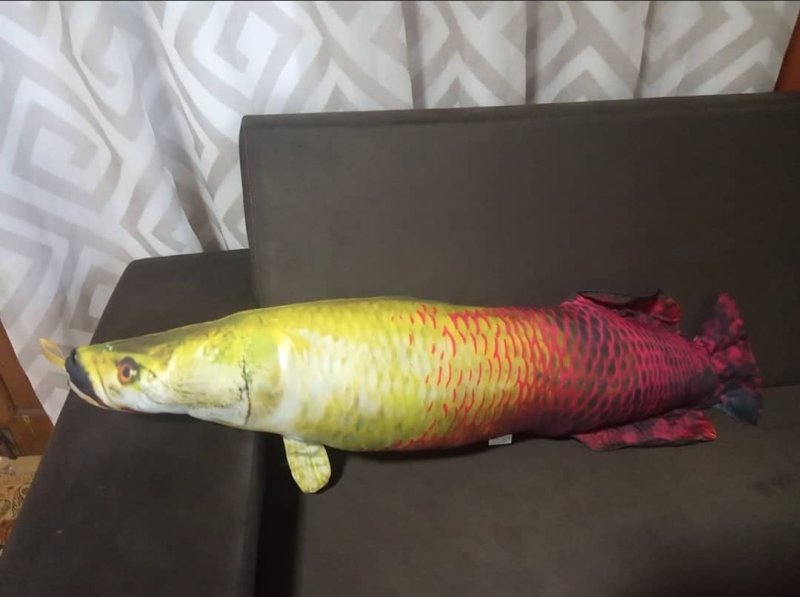 Após a peixete, surgiram também outros trabalhos, uma coleção com o modelo de peixe. Foto: Reprodução Instagram.