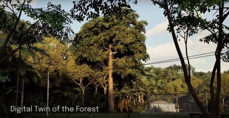 O metaverso 3D é uma plataforma por meio da qual projetos e iniciativas em torno da sustentabilidade e proteção ambiental podem ser liderados, financiados e alimentados. Foto: Reprodução Youtube/ MetAmazônia.
